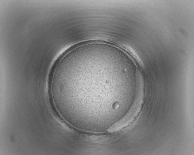 X0000116790780200912241201