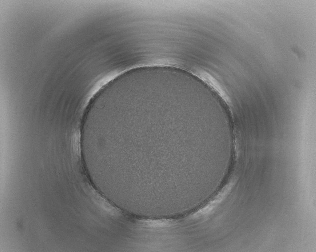 X0000116790781200912241201