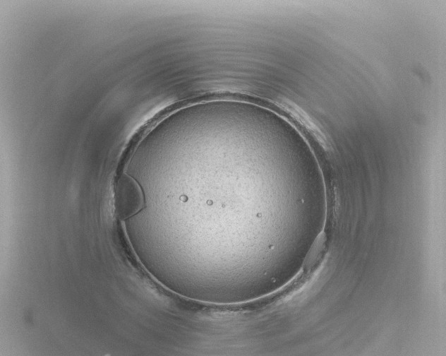 X0000116790782200912241201