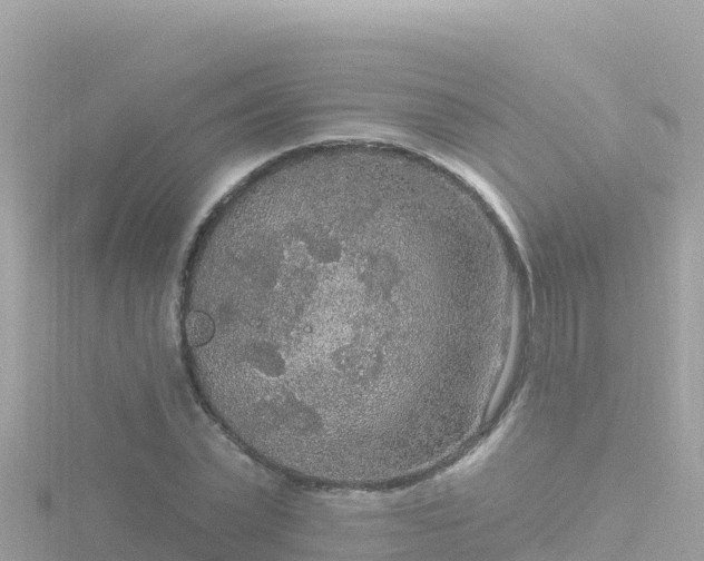 X0000116790783200912241201