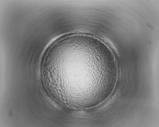 X0000116790784200912241201