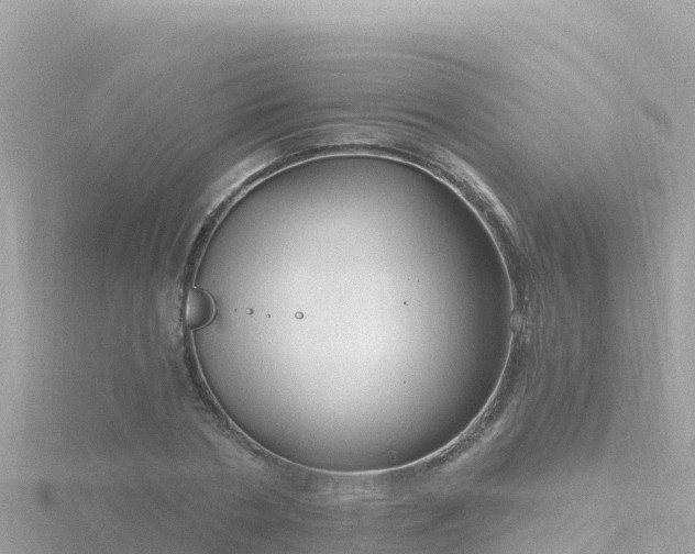 X0000116790786200912241201