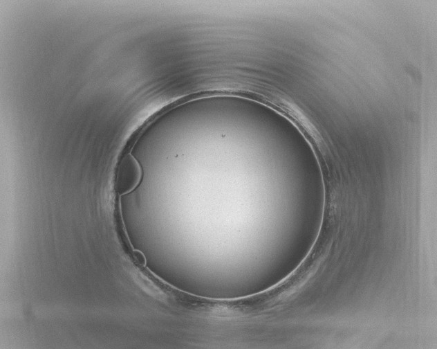 X0000116790787200912241201