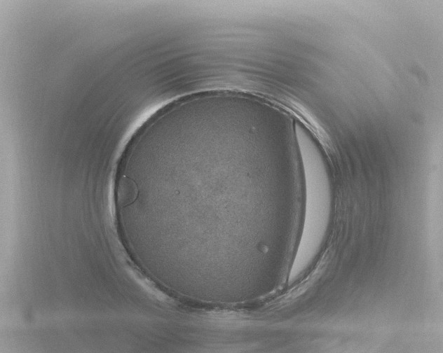 X0000116790788200912241201