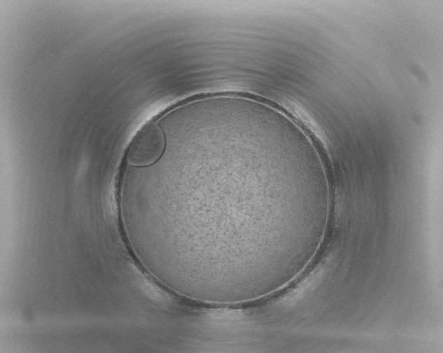 X0000116790789200912241201