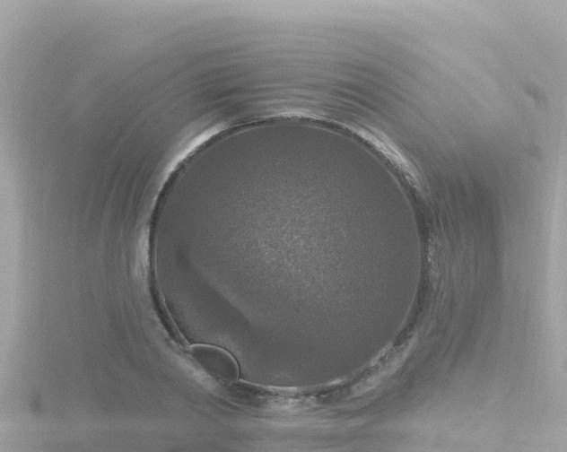 X0000116790790200912241201