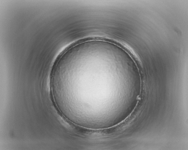 X0000116790791200912241201