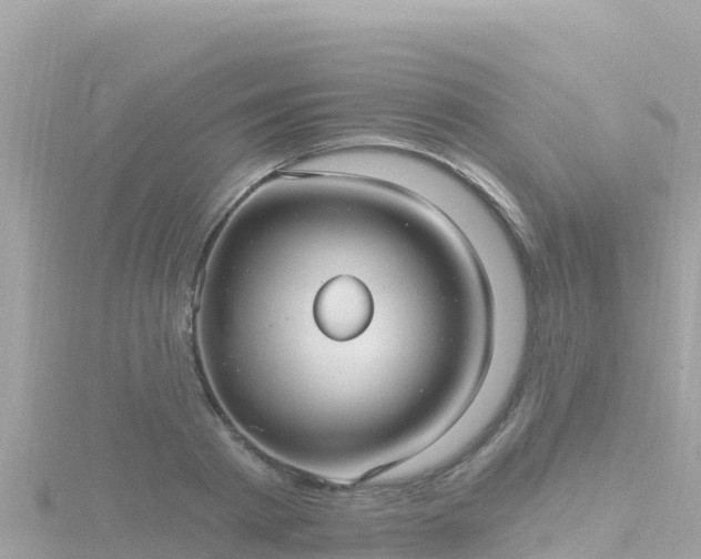 X0000116790793200912241201