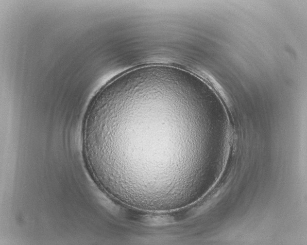 X0000116790795200912241201