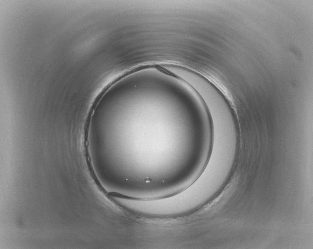 X0000116790797200912241201