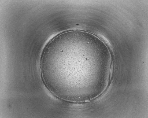 X0000116790800200912241201