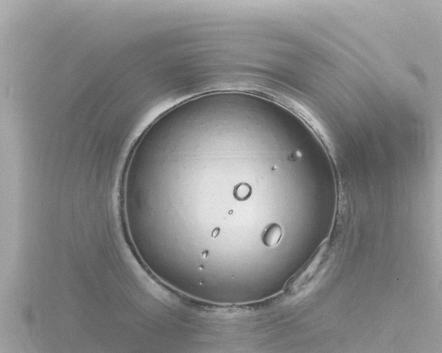 X0000116790803200912241201