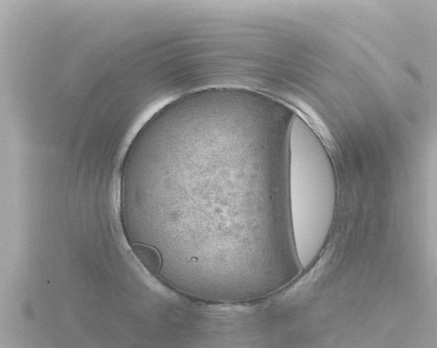 X0000116790804200912241201