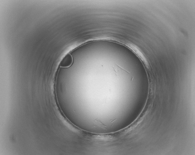 X0000116790805200912241201