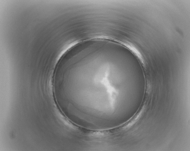 X0000116790806200912241201