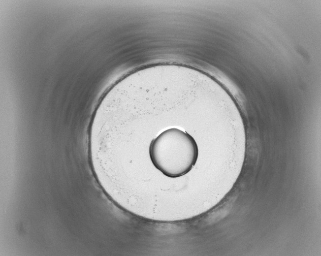 X0000116790807200912241201