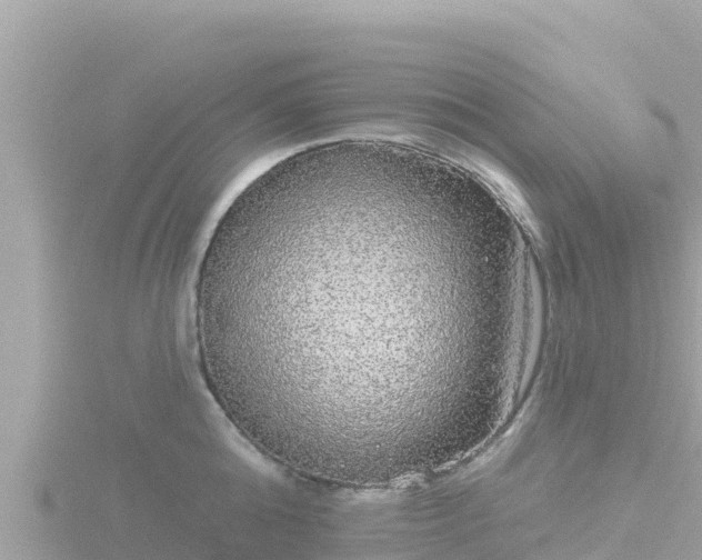 X0000116790808200912241201