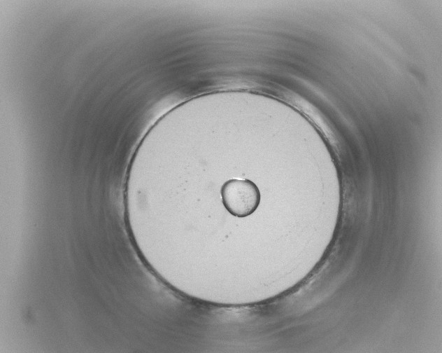 X0000116790810200912241201