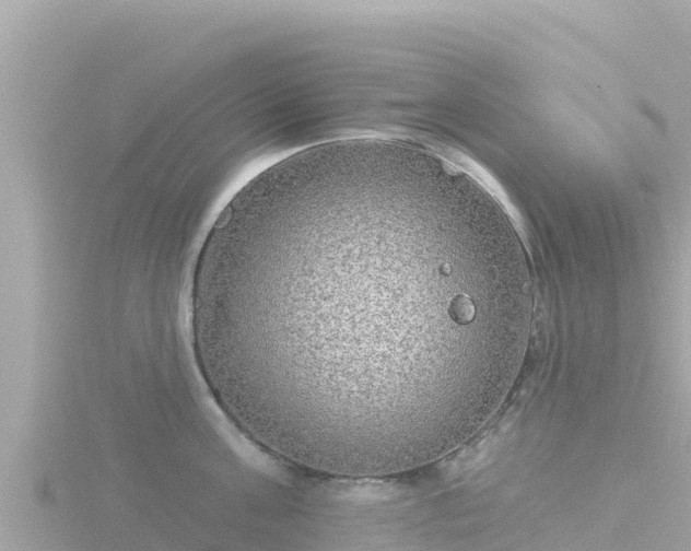 X0000116790811200912241201