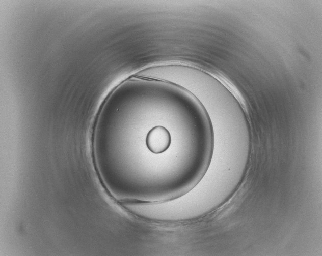 X0000116790813200912241201