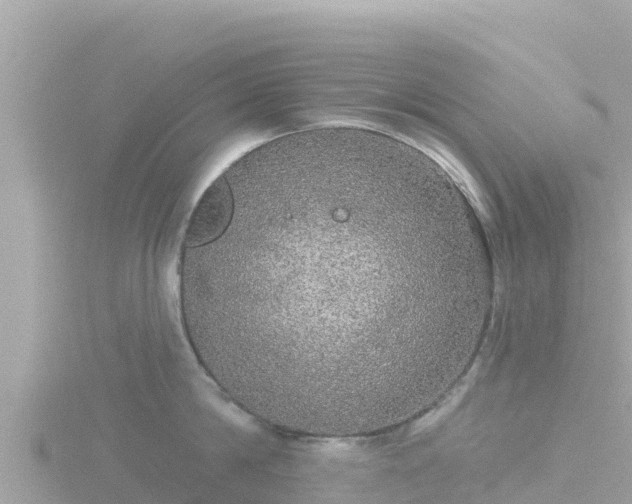 X0000116790814200912241201