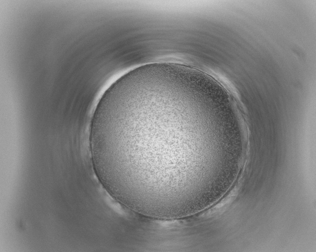 X0000116790816200912241201