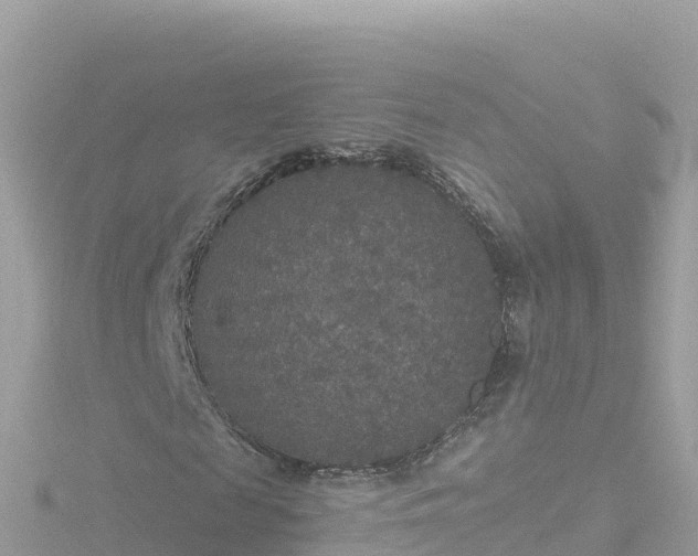 X0000116790817200912241200