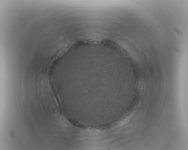 X0000116790818200912241200