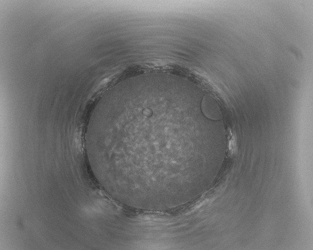 X0000116790819200912241200