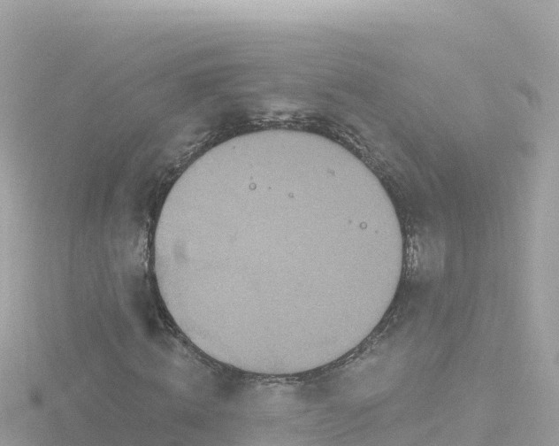 X0000116790820200912241200