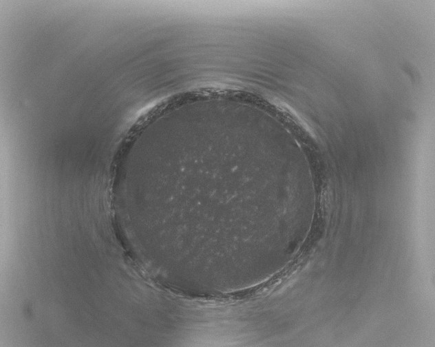 X0000116790822200912241200