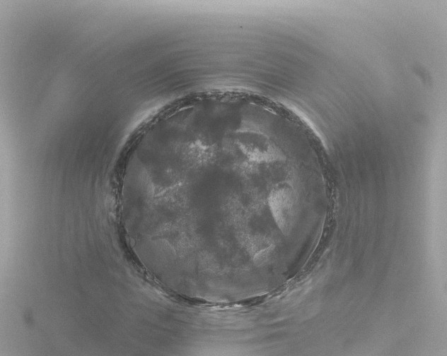 X0000116790823200912241200