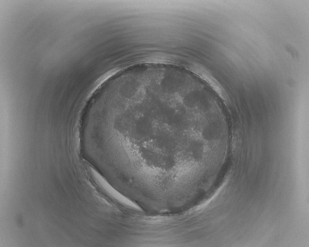 X0000116790829200912241200