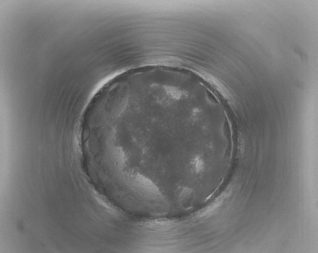 X0000116790830200912241200