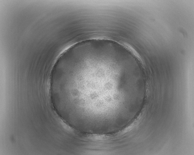 X0000116790831200912241200