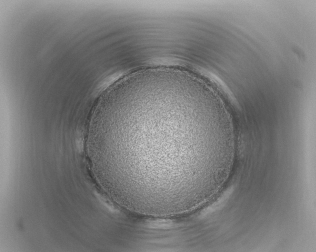 X0000116790833200912241200