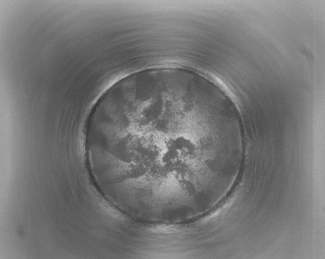 X0000116790835200912241200