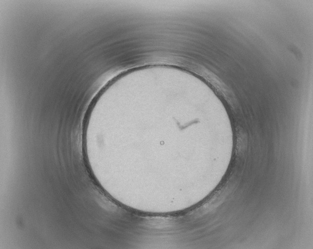 X0000116790836200912241200