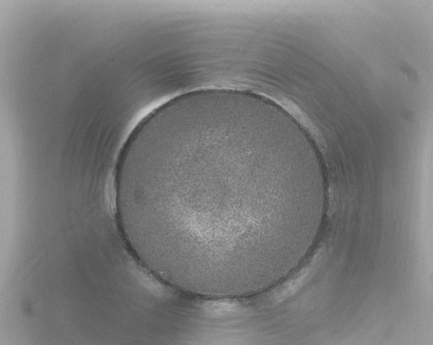 X0000116790838200912241200