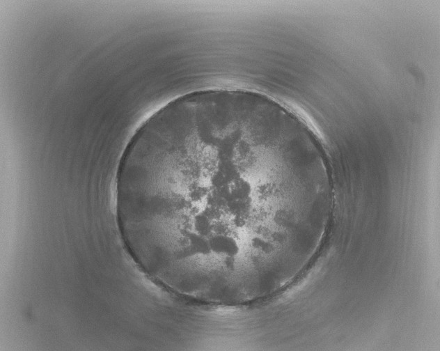 X0000116790839200912241200