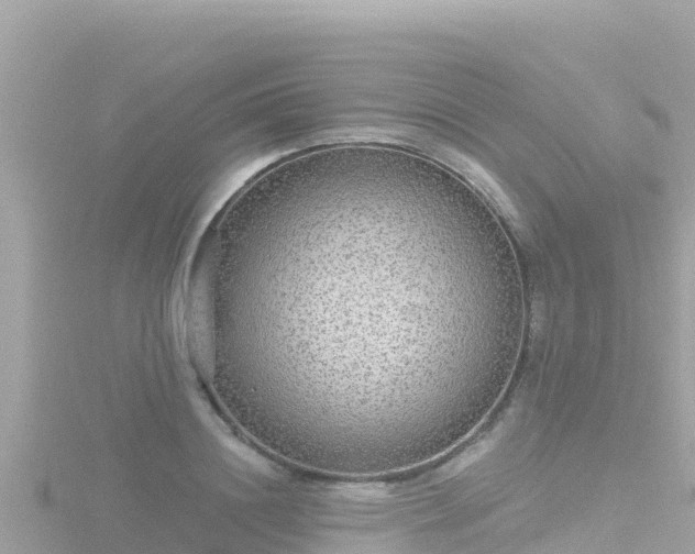 X0000116790844200912241200