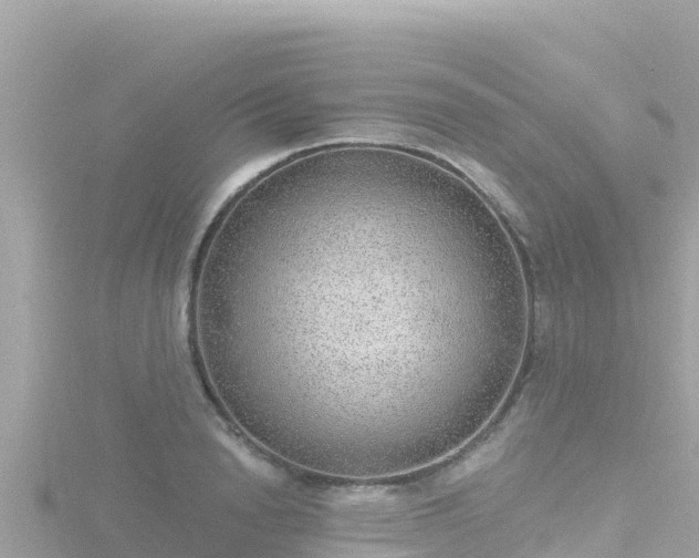 X0000116790846200912241200