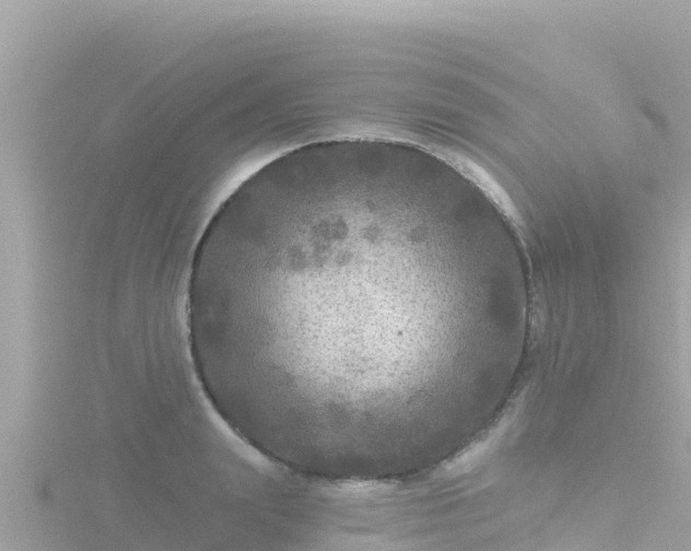 X0000116790847200912241200