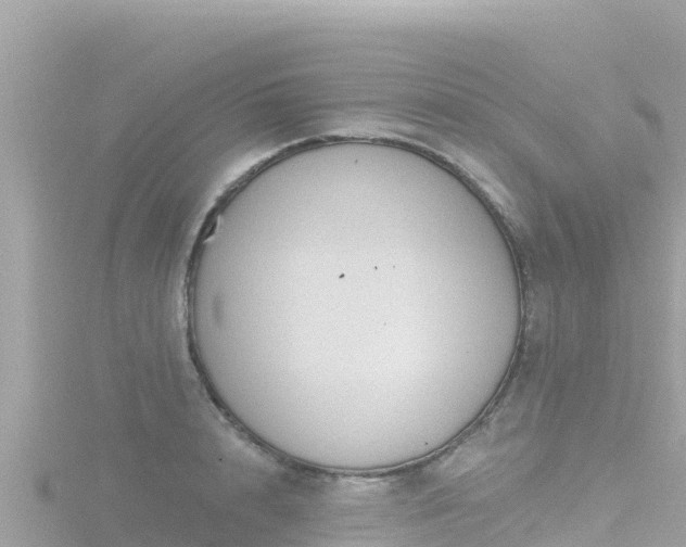 X0000116790848200912241200