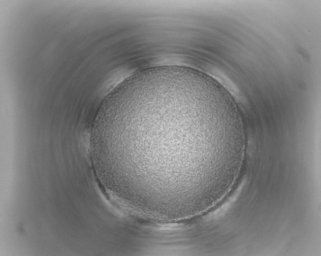 X0000116790849200912241200