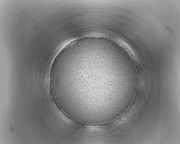 X0000116790852200912241200