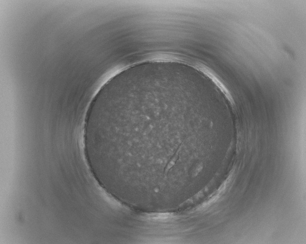 X0000116790853200912241200