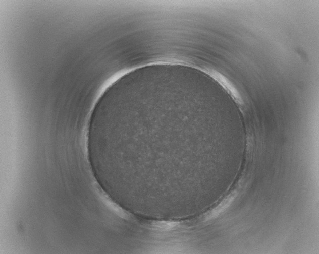 X0000116790854200912241200