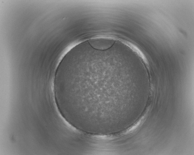 X0000116790855200912241200