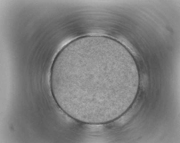 X0000116790856200912241200